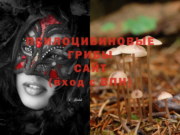 PSILOCYBIN Алексин