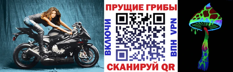 Псилоцибиновые грибы прущие грибы  Купить где  Кудрово 